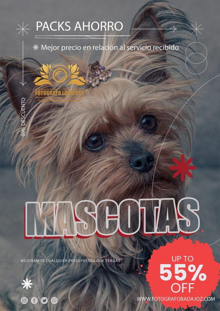 fotógrafo Badajoz perros gatos mascotas